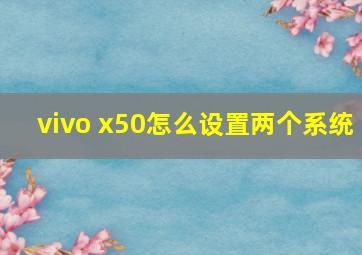 vivo x50怎么设置两个系统